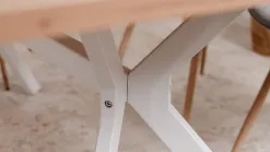 Vélia